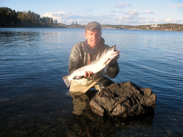 Over til kveldsfiske på sjøørreten i Oslofjorden!